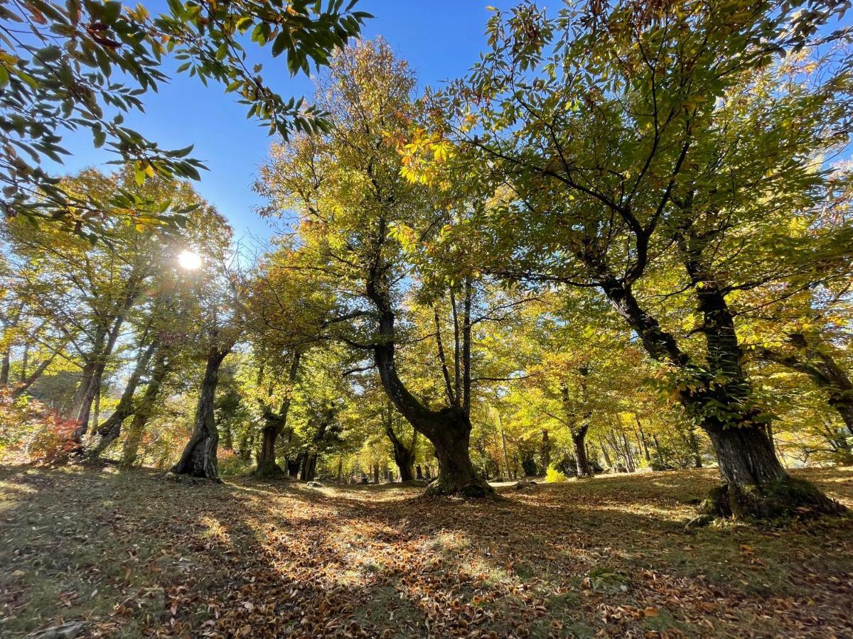“All'Antica Dogana” Bosco  Exterior foto